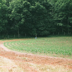 Jean Gleaves visits the Gleaves Slave cemetery.