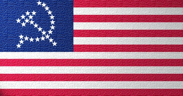 [UnitedSocialistStatesOfAmericaFlag[4].jpg]