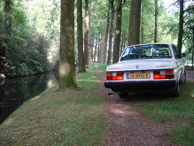 [Afbeelding: DSC01167.JPG]