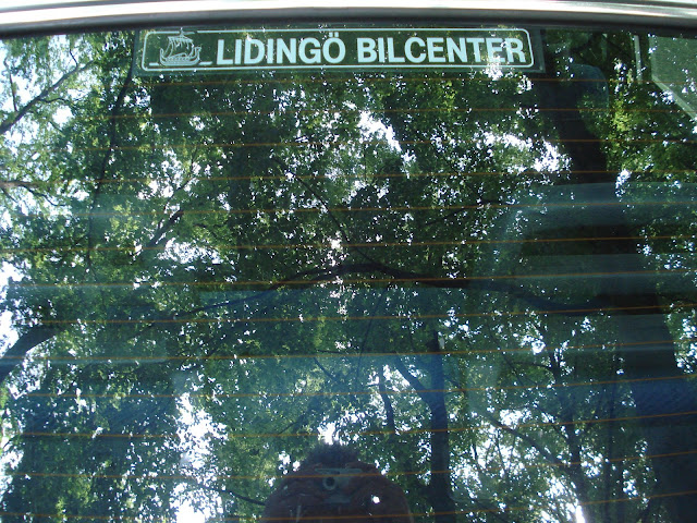 [Afbeelding: DSC01168.JPG]