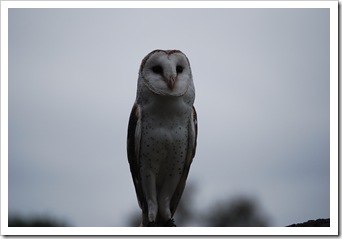 DSC_0180 DSC_0180