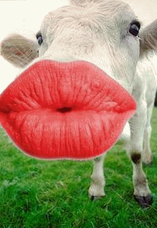 Animated_Kiss Animated_Kiss