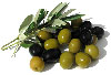 ZEYTIN