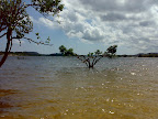 Praia do Cajueiro, em Alter do Chão.