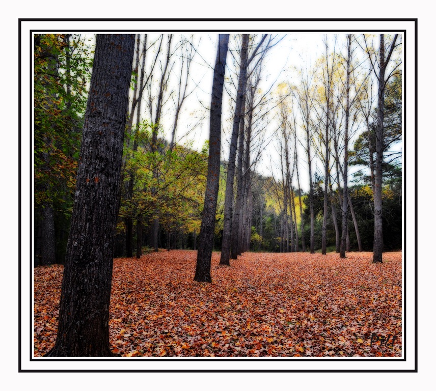 [Prueba orton2[3].jpg]