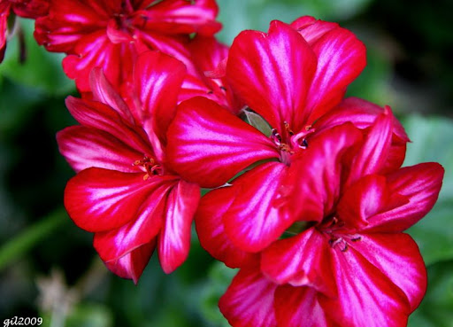 Мюнхен музей