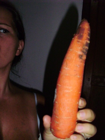 [pills, redneck van and rotten veggies 098[2].jpg]