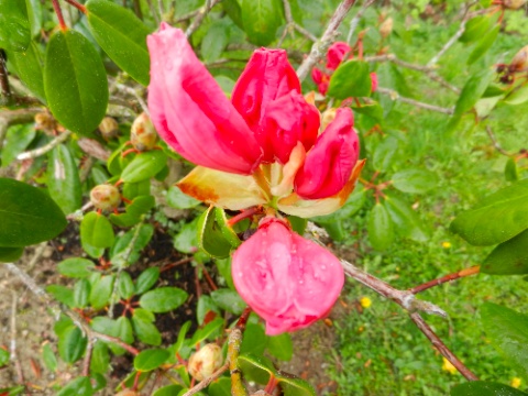 DSCN8864.jpg DSCN8864