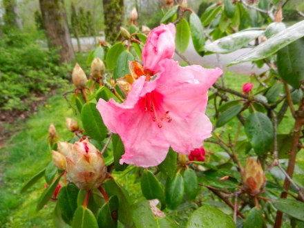 DSCN8862.jpg DSCN8862
