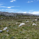 Nationalpark Mount Beauty