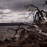 Lake St Clair