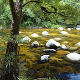 Mossman Gorge