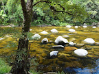 Mossman Gorge