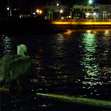 Fischen am Pier