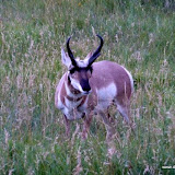Custer Nationalpark
