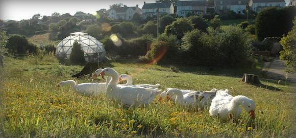 [eco-gypsy-caravan1_placelarge (4)[3].jpg]