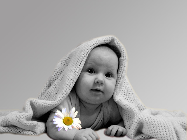 flower.jpg