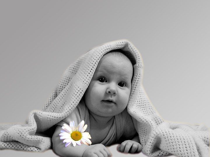 flower.jpg