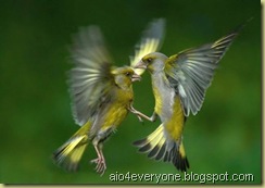 !cid_000a01c757a8$9f289e30$0400000a@ATILA