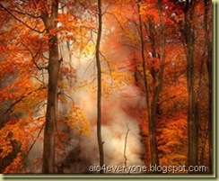 photos-75_thumb[3]