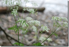 090607 079