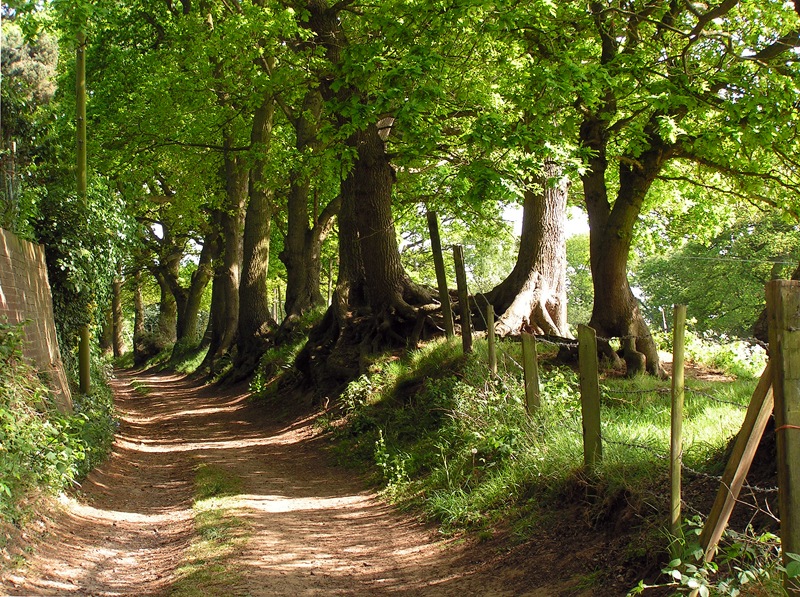 [Country-Lane-Linslade-23.jpg]