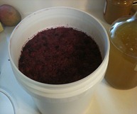 IMG_0152[1]