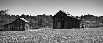 11 IMG_2841 11 IMG_2841