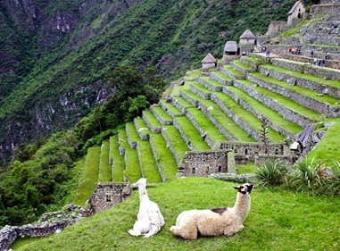 Machu Pichu - 34