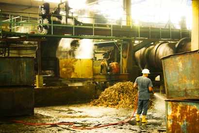 Fertilizer Processing at Cumana Fish Plant-2