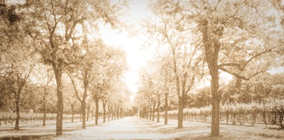 Sonoma Winery Entrance