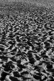 La Orchila Sand