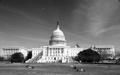 Capitol Lawn