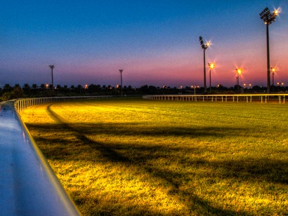 Abu Dhabi Equestrian Club