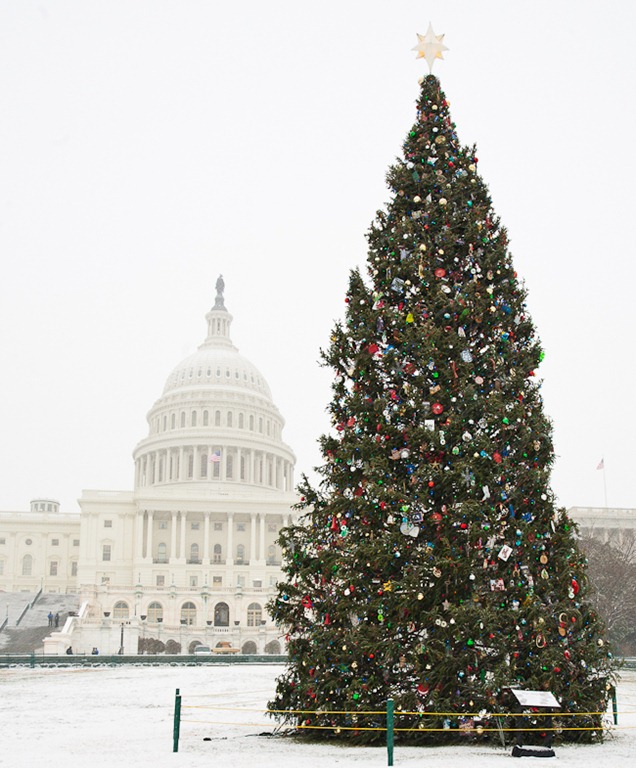 [US Capitol at Christmas-2[4].jpg]