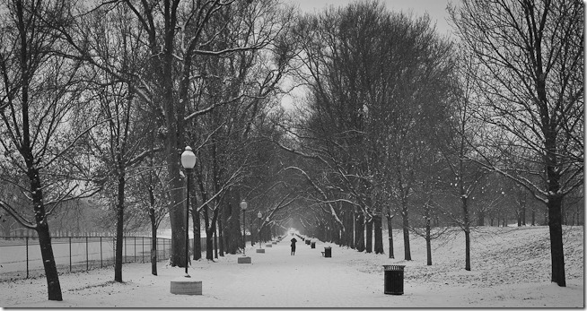 Along the Reflecting Pool