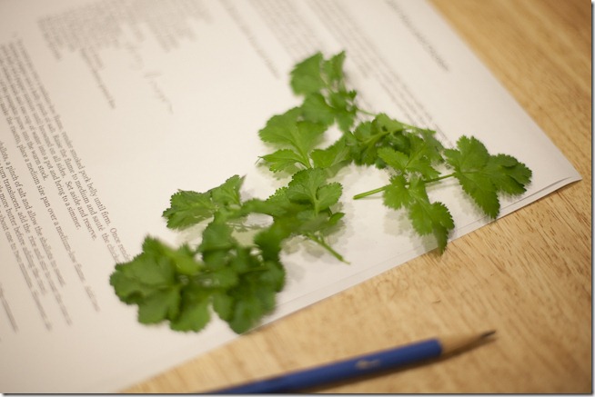 Cilantro and Risotto Recipe