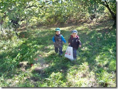 fall 2010 046