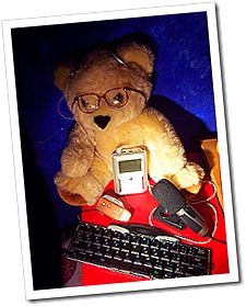 Podcast Bear