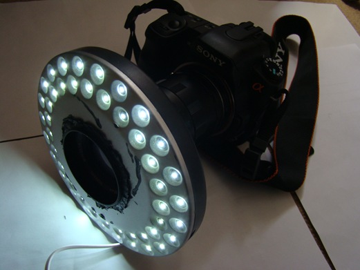 ring light 149