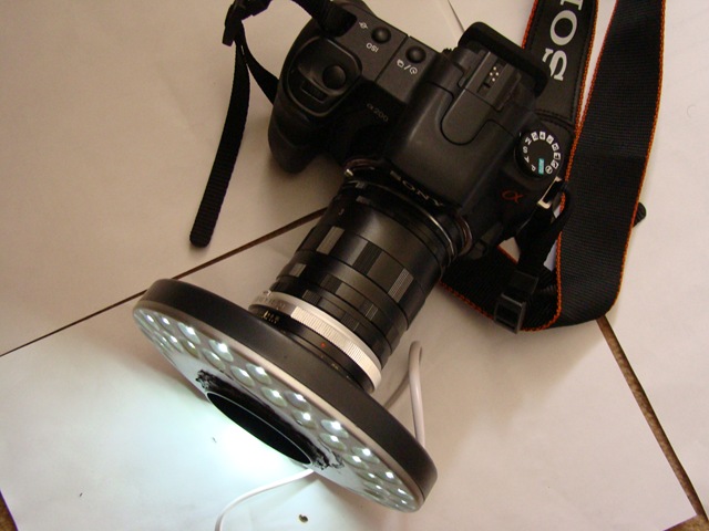 [ringlight1512.jpg]
