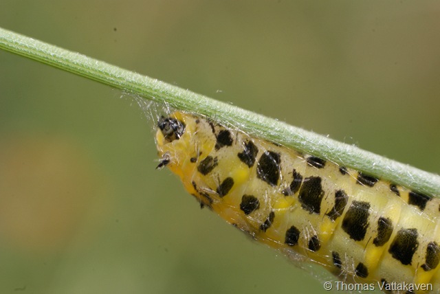 [macroday0922.jpg]