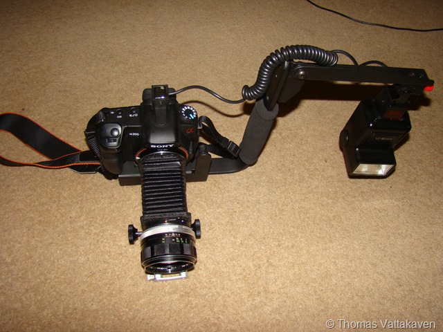 [DSC000342.jpg]
