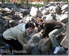 Rock Hounds