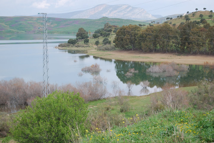 DSC_0012.jpg