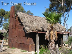 IMG_5186 IMG_5186