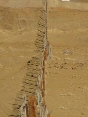 IMG_7721 IMG_7721