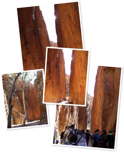 View Standley Chasm, NT