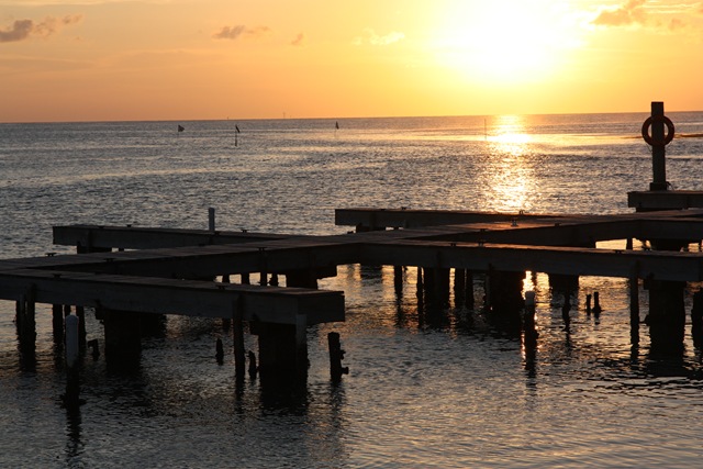 [IMG_12643.jpg]