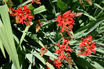 Wellington_466.jpg